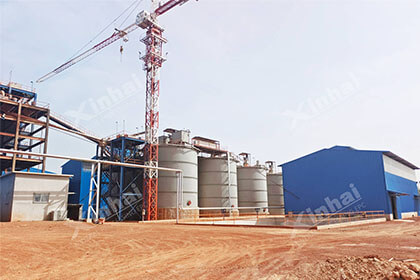 Guinea 3000tpd Gold Extraction Plant